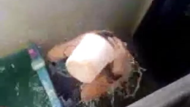 सौंदर्य पैर समलैंगिक दास द्वारा वीडियो में सेक्सी पिक्चर मूवी चाटना