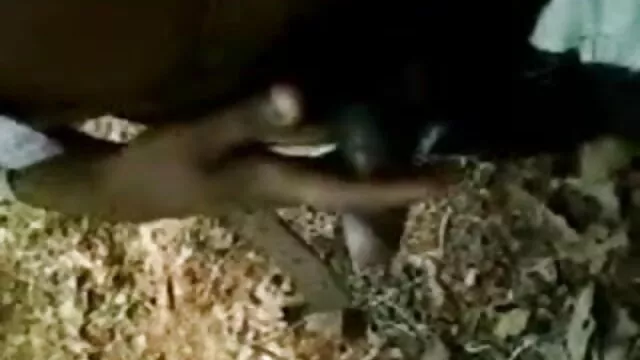 शौकिया सेक्सी मूवी मूवी हिंदी में युगल