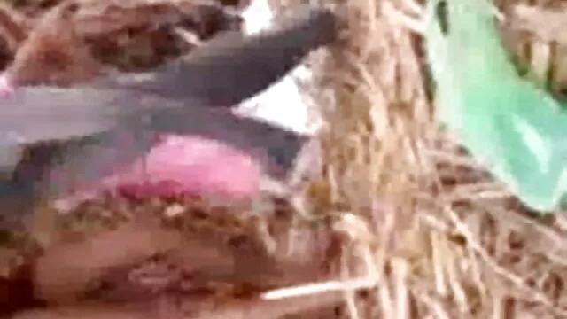 सौतेला बेटा मिला सौतेली माँ एक पोर्नस्टार है वीडियो में मूवी सेक्सी
