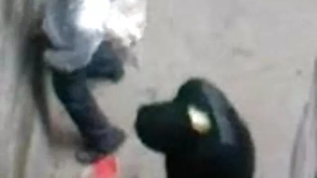 सींग का बना सेक्सी मूवी वीडियो में जातीय फूहड़ उसे योनी बढ़ा दिया जाता है