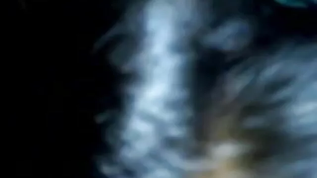 चूसने और कमबख्त dildo, सुंदर भोजपुरी में सेक्सी मूवी शो ,,
