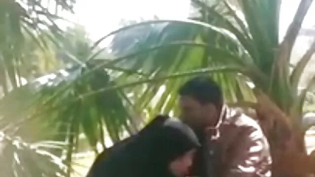 गोरा अप्सरा सेक्सी मूवी पिक्चर हिंदी में स्टड को एक जंगली मैला bj देता है