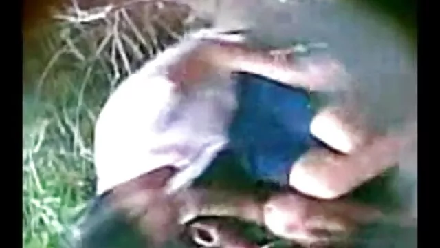 सोफिया - बड़े स्तन गोरा गधा पंजाबी में सेक्सी मूवी में पकड़ा और एक क्रीम मिला