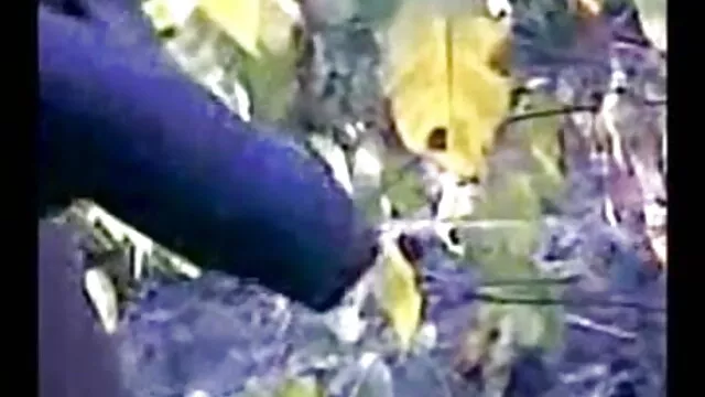 उसे हर दिन मुर्गा हिंदी में सेक्सी मूवी वीडियो में चाहिए