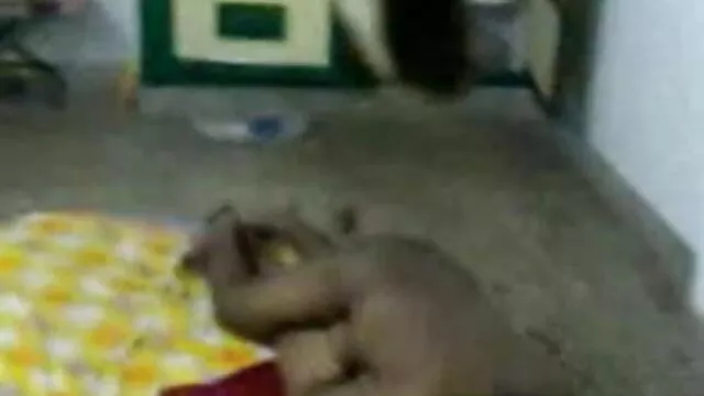एलाइन - ओवरफ्लोइंग एशोल्स 4 सेक्सी वीडियो मूवी हिंदी में