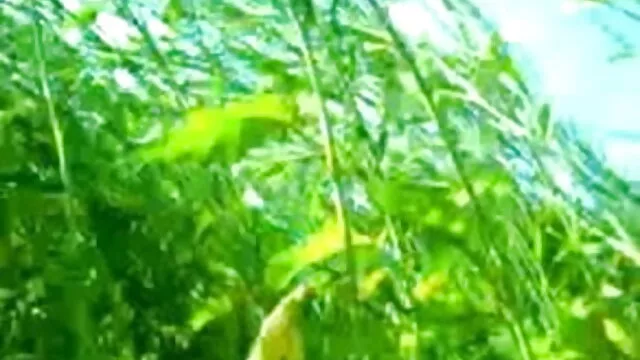 पागल प्यारा बीबीडब्ल्यू सह बाहर बेकार है वीडियो में मूवी सेक्सी