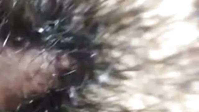 स्तनपान सेक्सी मूवी वीडियो में कराने वाले स्तन बड़े स्तन थप्पड़ मार दिया