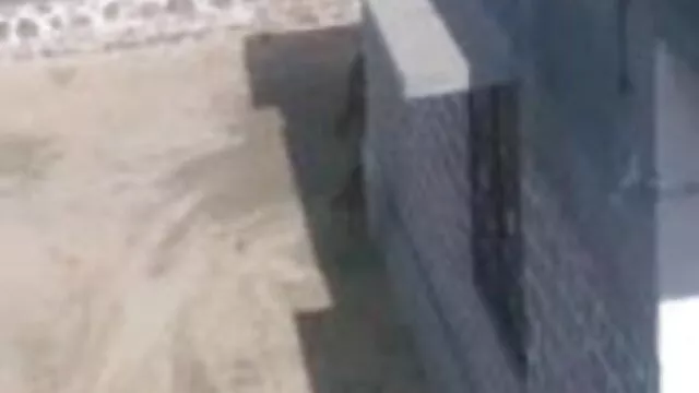 एक और अच्छी मूवी सेक्सी वीडियो में डिब्बाबंदी