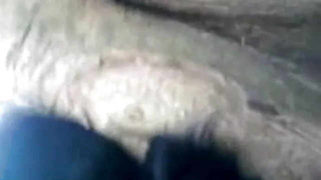 जेपीएन सॉफ्टकोर सेक्सी मूवी हिंदी में सेक्सी मूवी