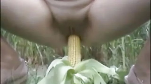 जेपीएन सेक्सी मूवी वीडियो में एमआईटी